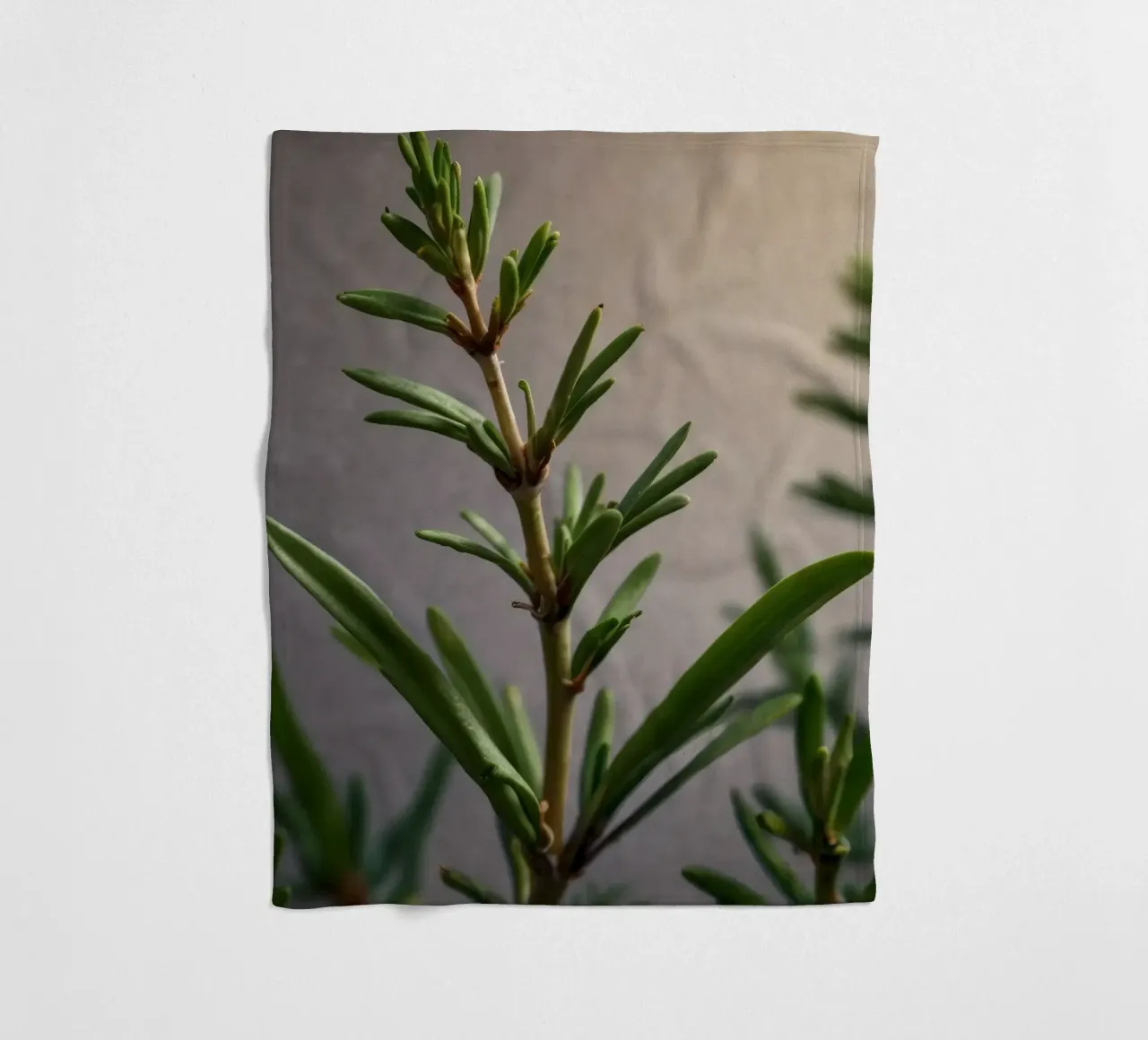 I rami verdi delle piante si protendono verso l'alto, mostrando foglie vivaci. coperta in pile da DesignDoodle