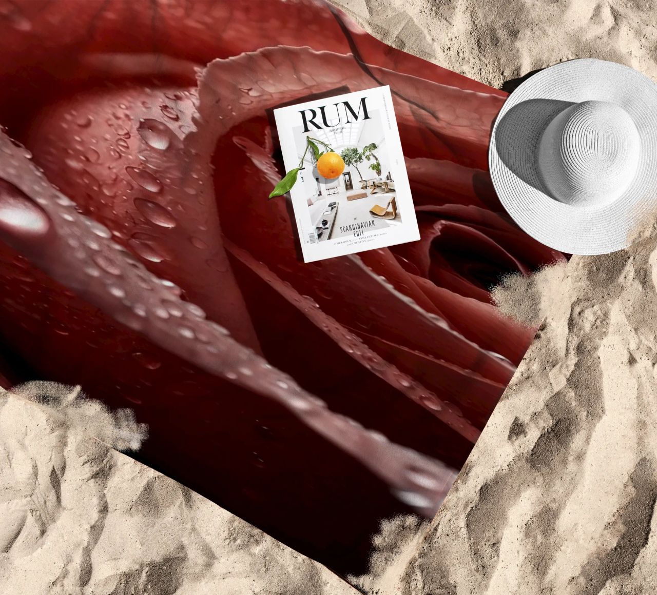 Vue rapprochée d'une rose baignée de rosée aux pétales éclatants. serviette de plage de DesignDoodle