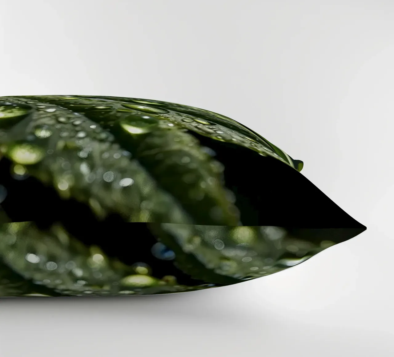 Close-up view of vibrant green leaves covered with dew dropl decorative cushion by DesignDoodle