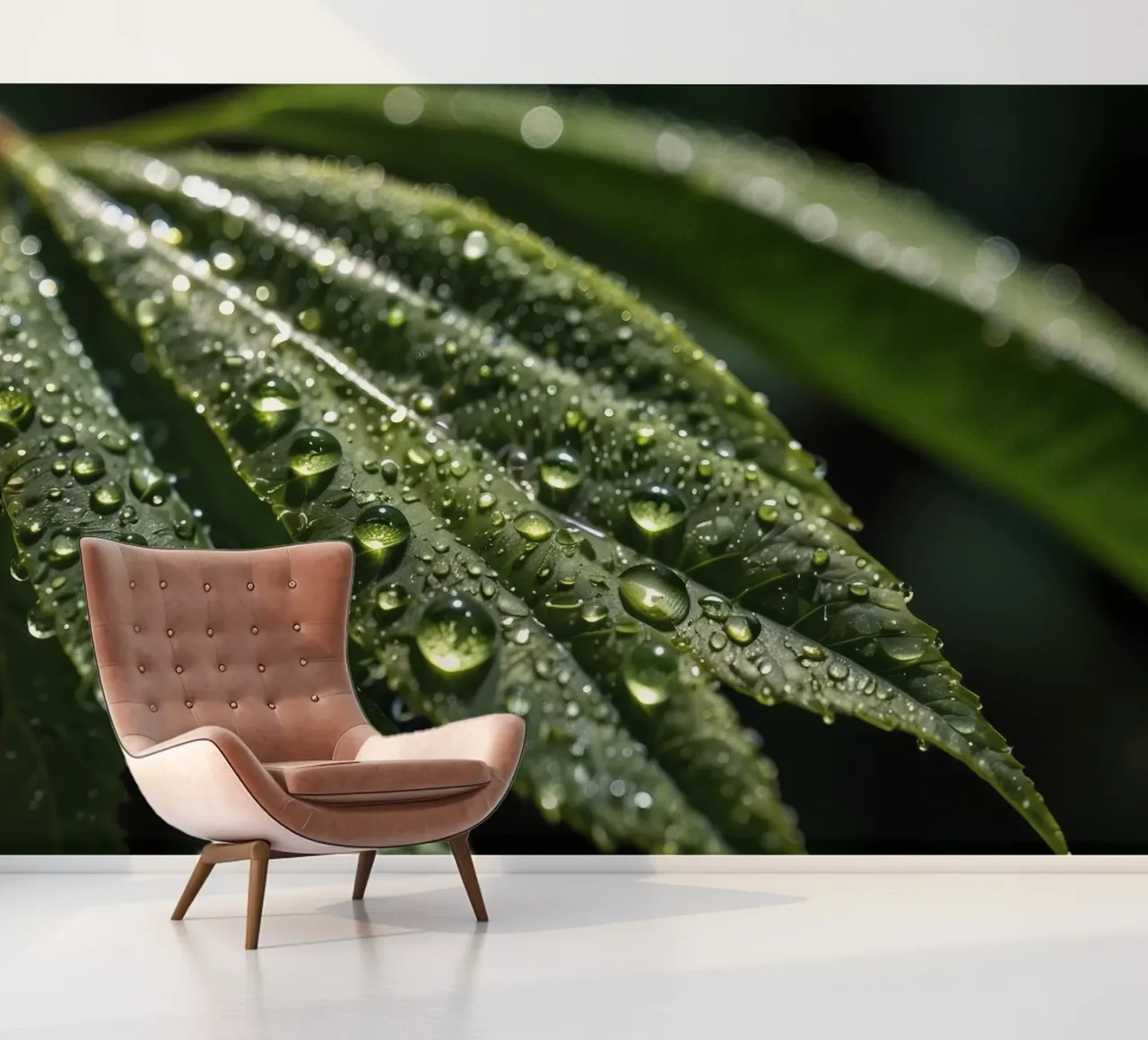 Close-up view of vibrant green leaves covered with dew dropl photo wallpaper by DesignDoodle