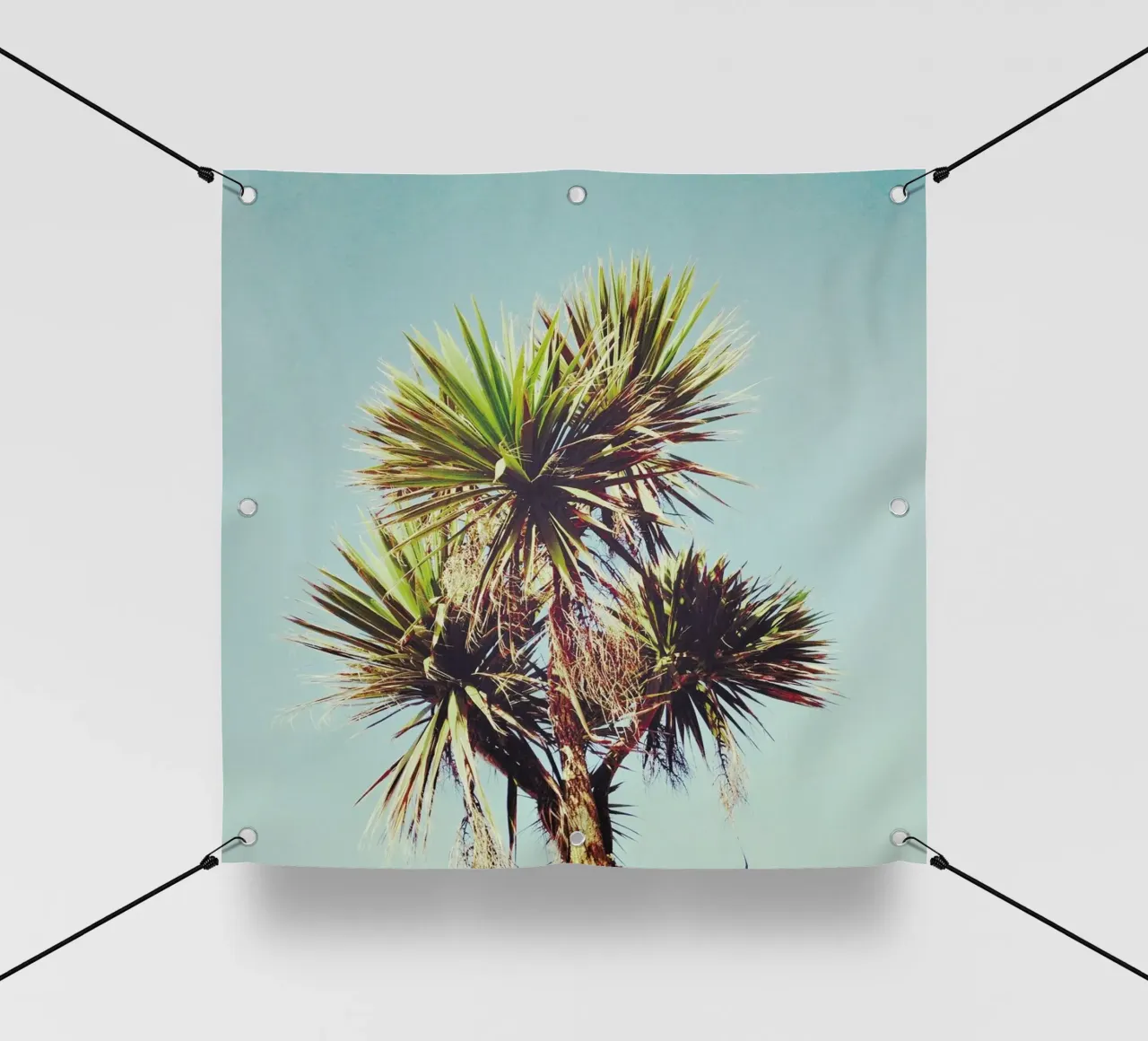 Palma telo in pvc da Cassia Beck Photography