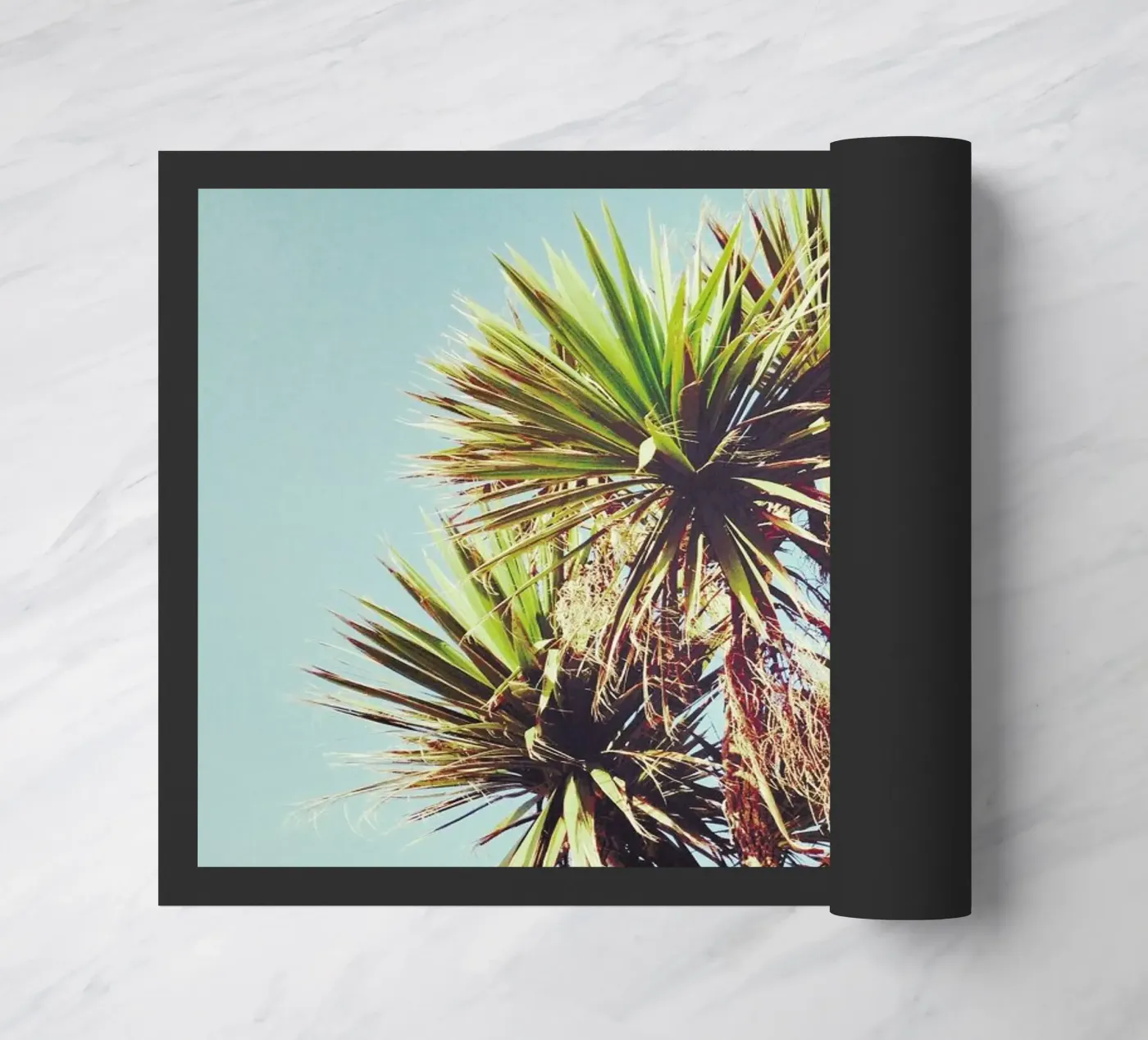 Palm doormat by Cassia Beck Photography
