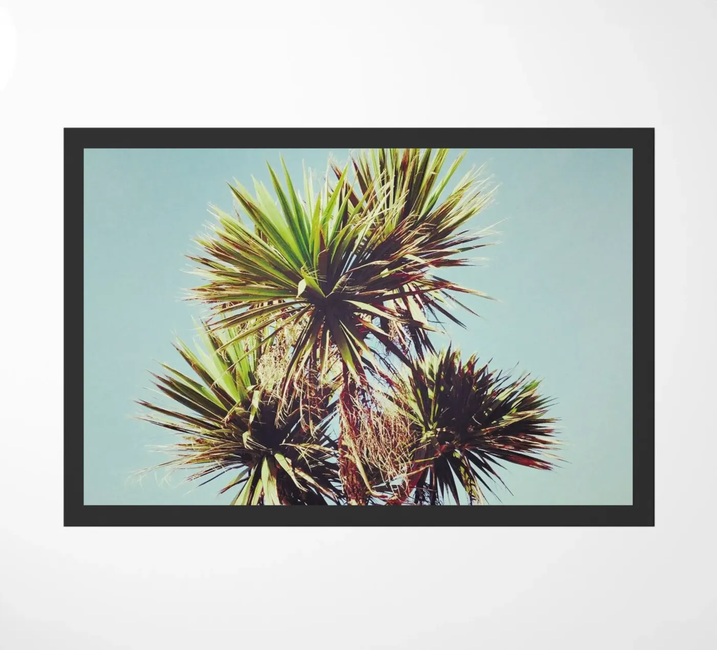 Palm doormat by Cassia Beck Photography