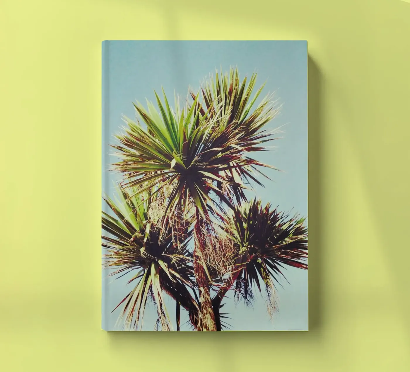 Palm notebook by Cassia Beck Photography