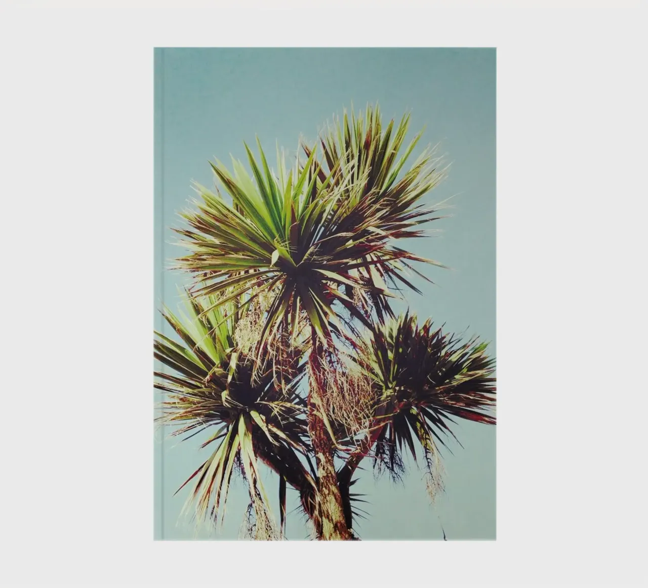 Palm notebook by Cassia Beck Photography
