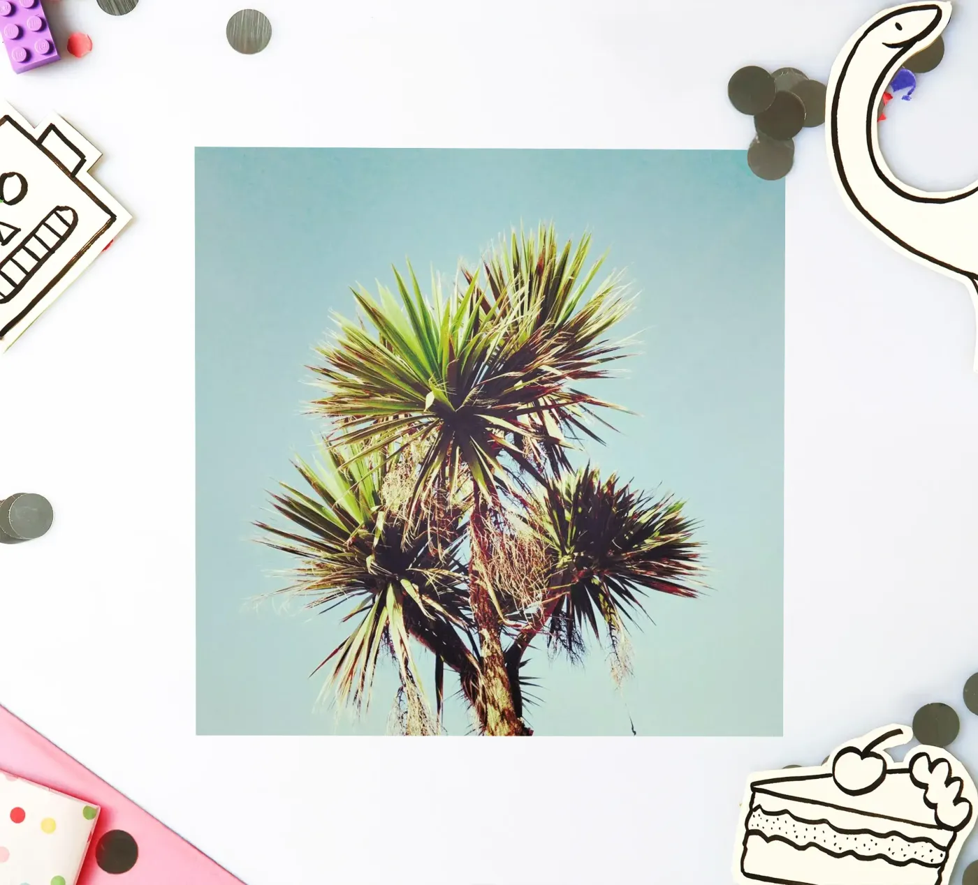 Palm sticker by Cassia Beck Photography