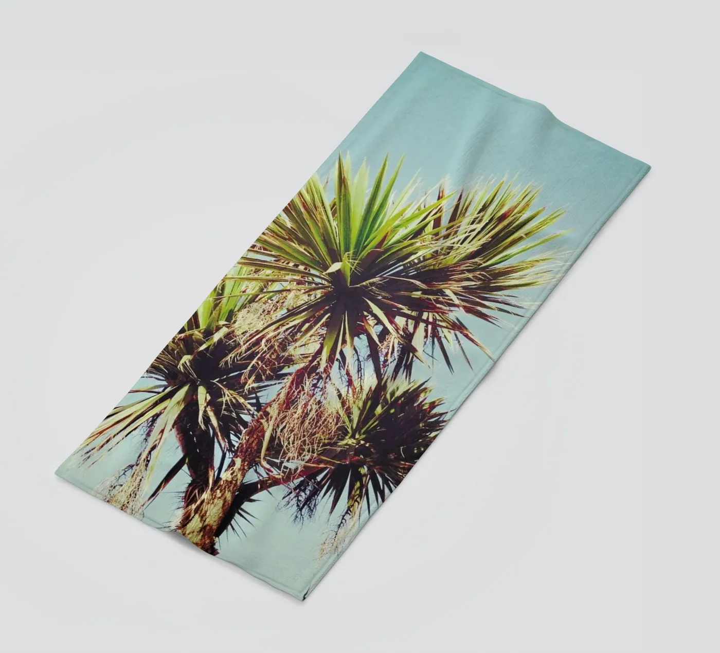 Palm telo mare da Cassia Beck Photography