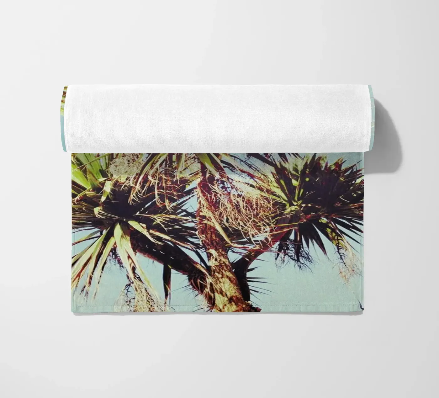 Palm telo mare da Cassia Beck Photography