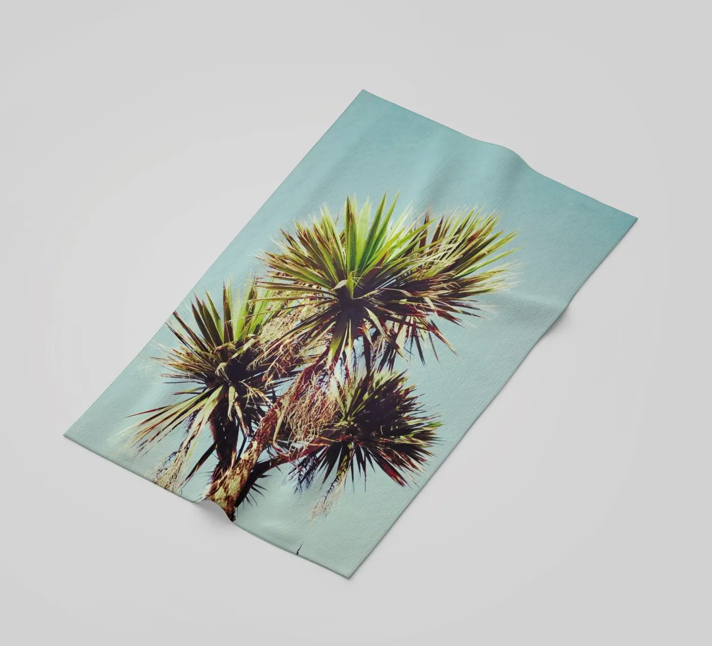 Palm telo mare da Cassia Beck Photography