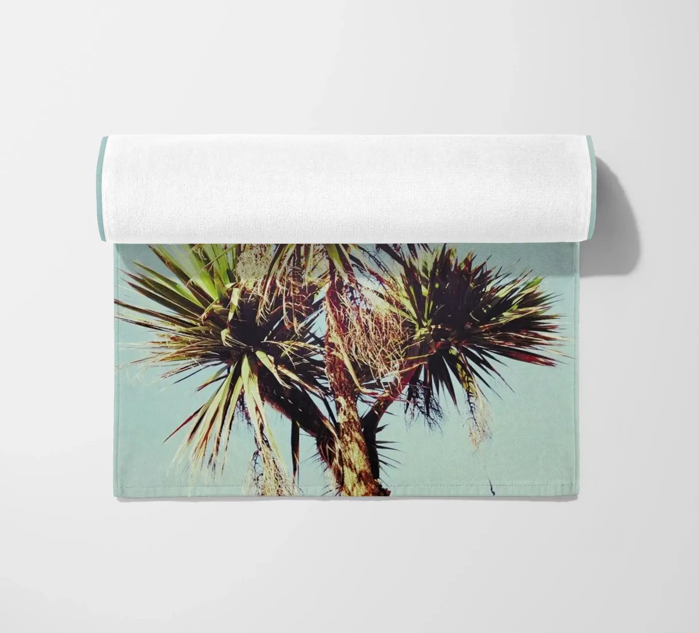 Palm telo mare da Cassia Beck Photography