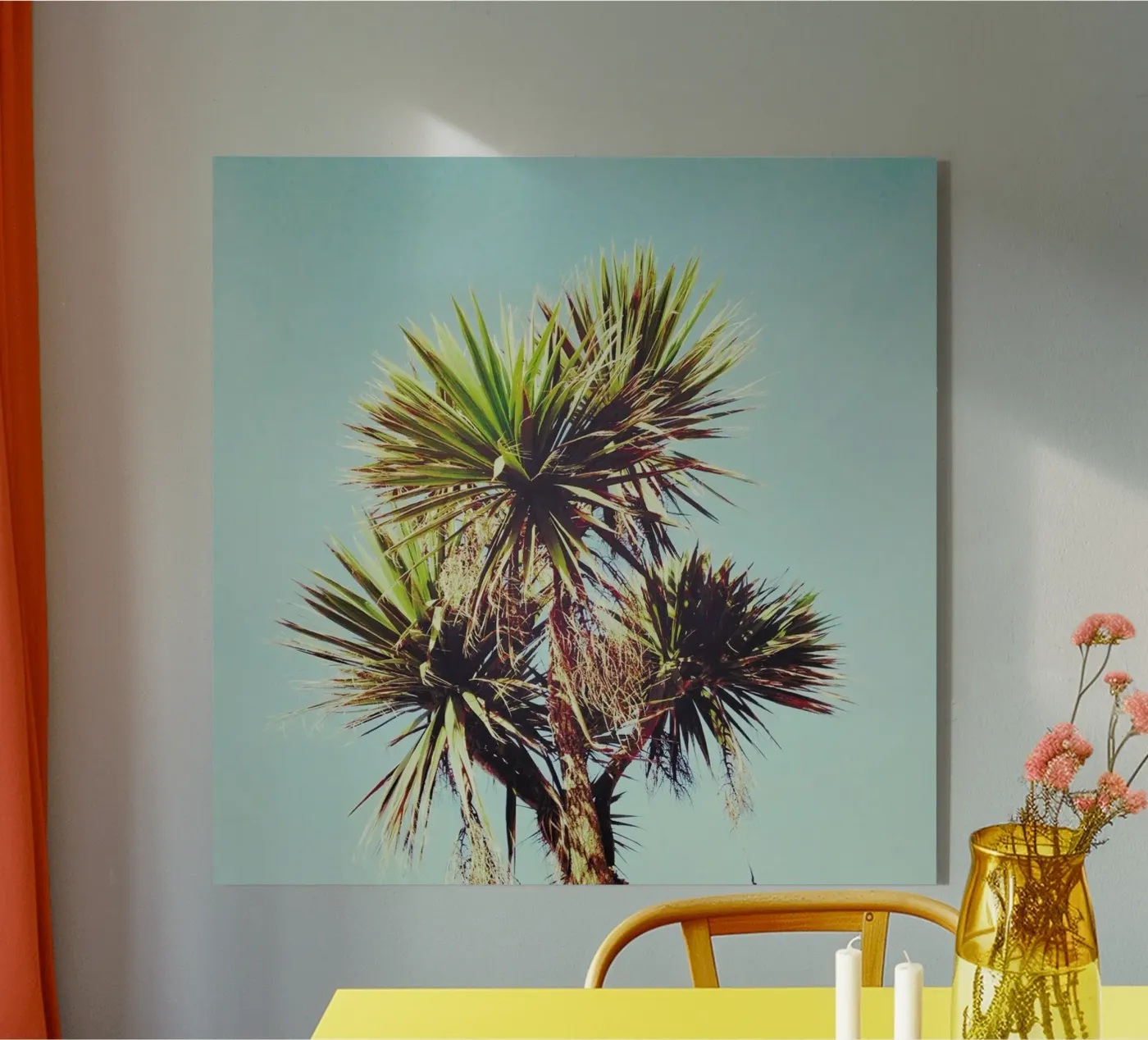 Palma plexiglass da Cassia Beck Photography