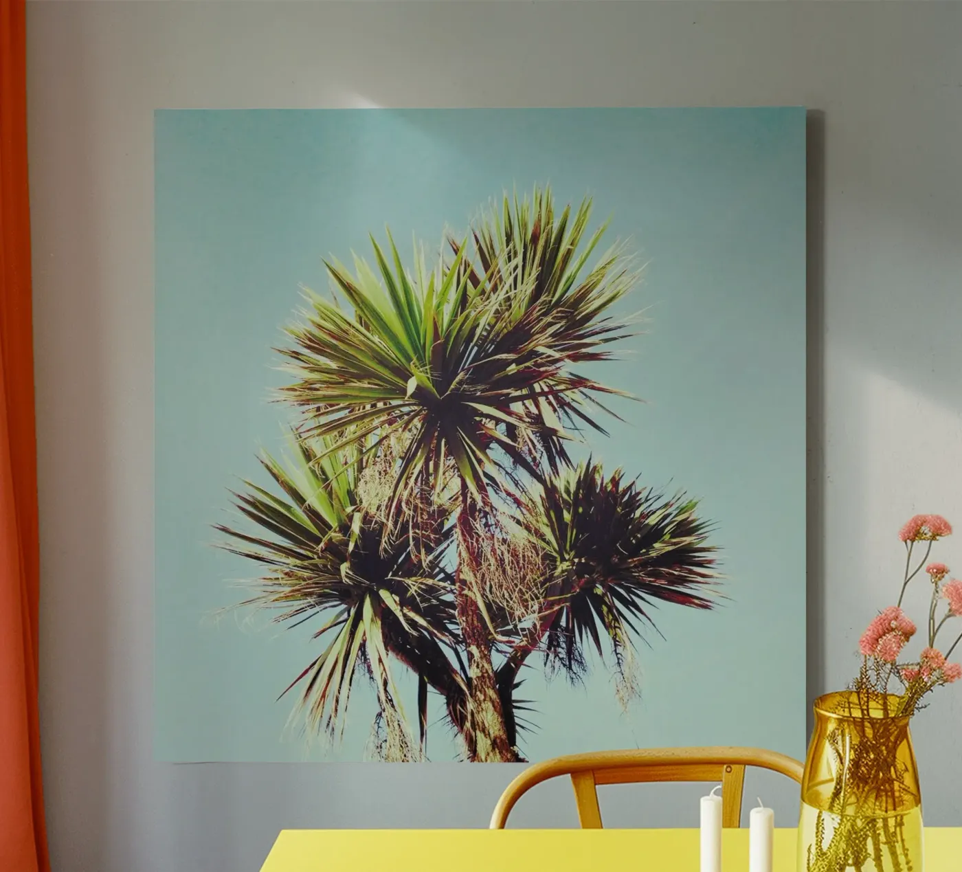 Palma tela da Cassia Beck Photography