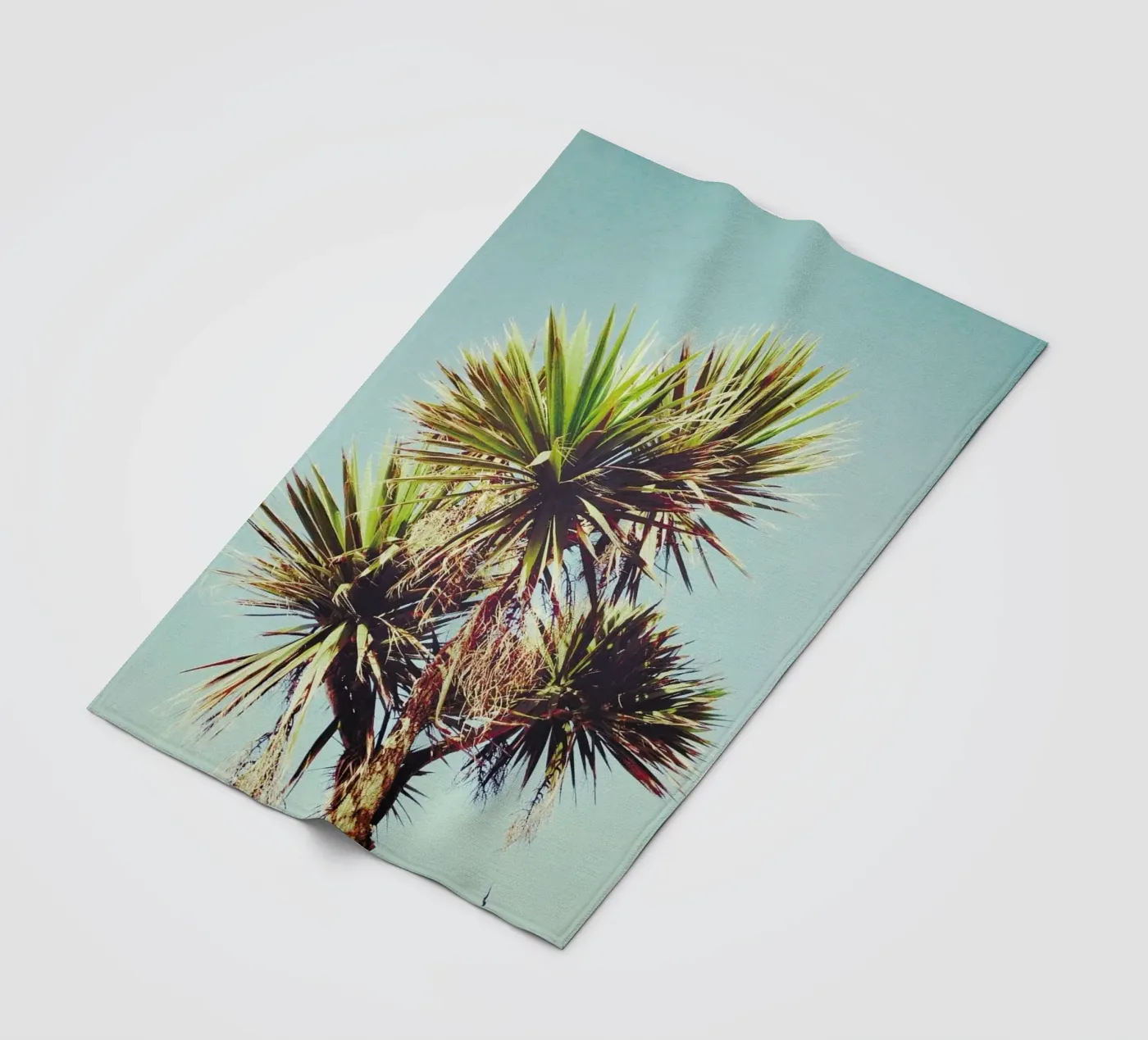 Palme Fleecedecke von Cassia Beck Photography