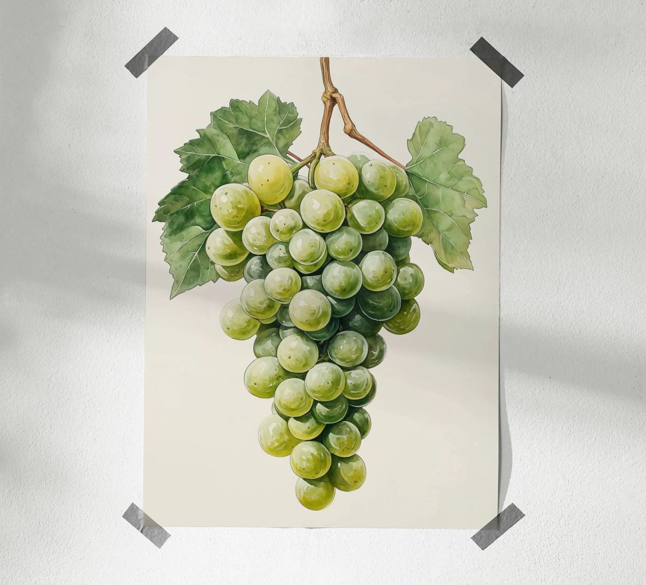 Grappolo d'uva verde poster da Spice & Style