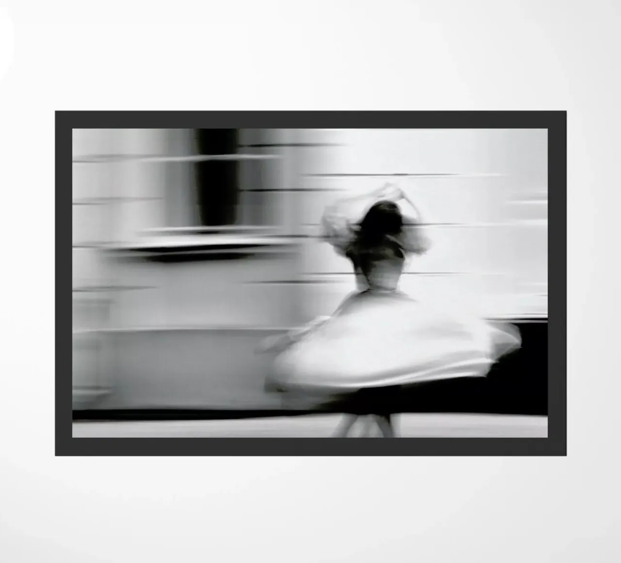 Monochrome rotation zerbino da Efacts Photography