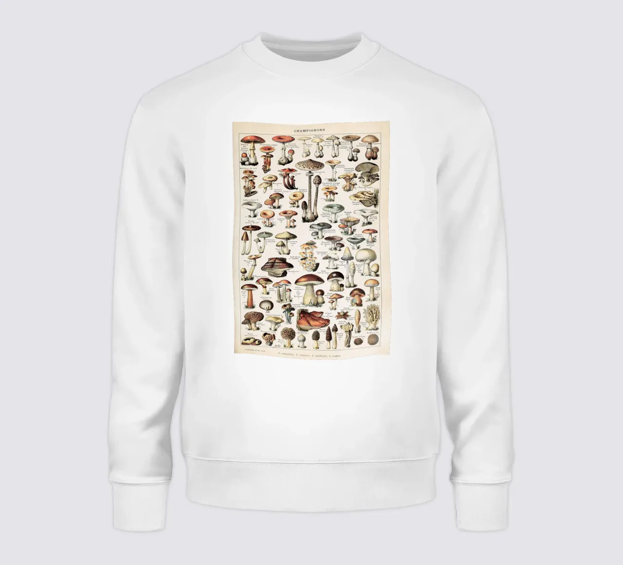 Champignons - Adolphe Millot felpa da apoloprints