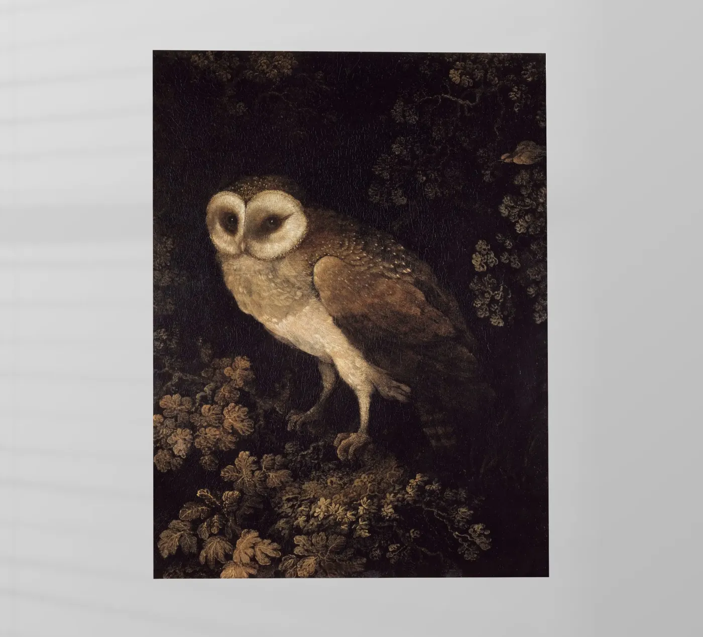Owl pellicola backlit da Apolo Prints