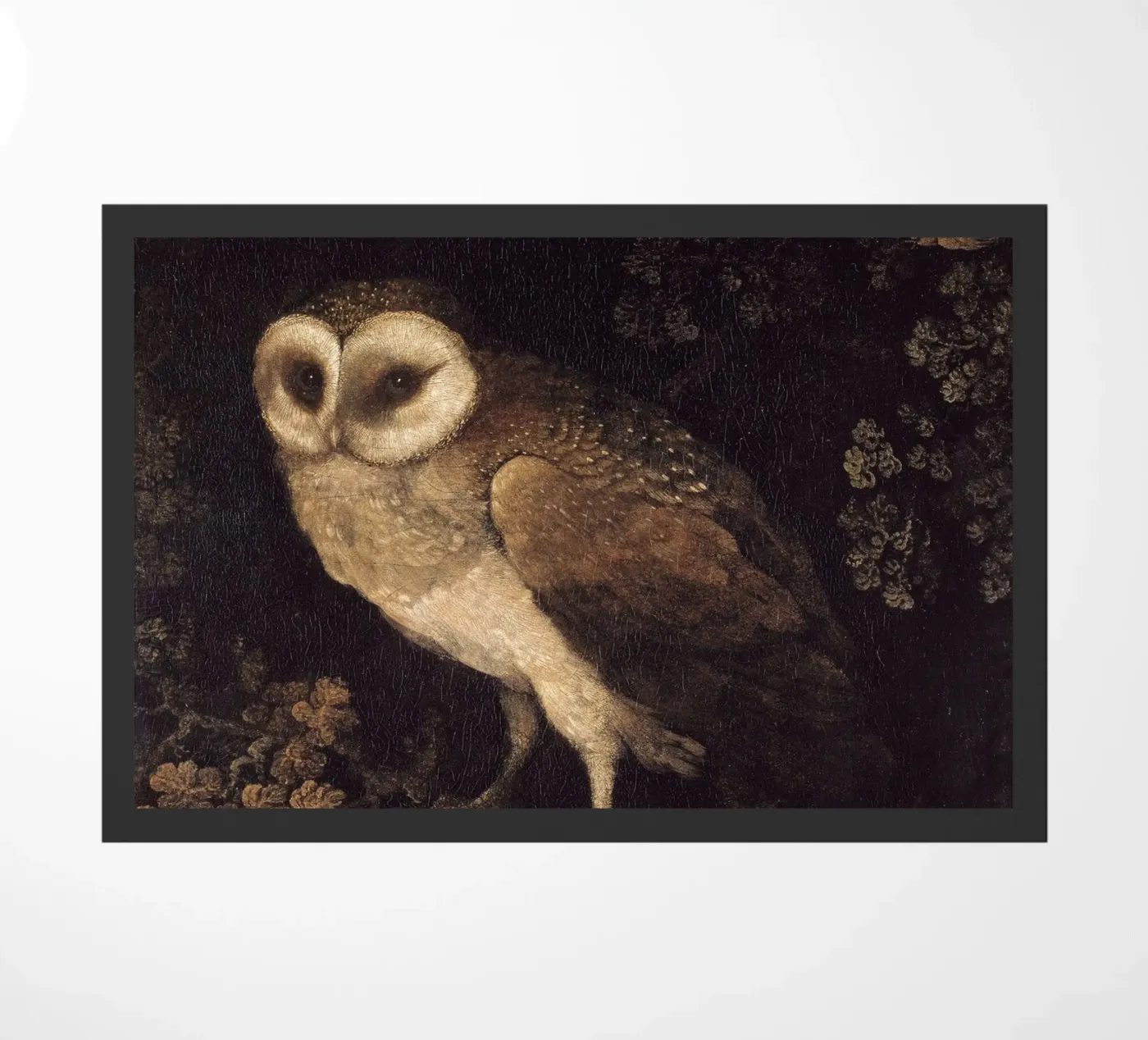 Owl deurmat van Apolo Prints