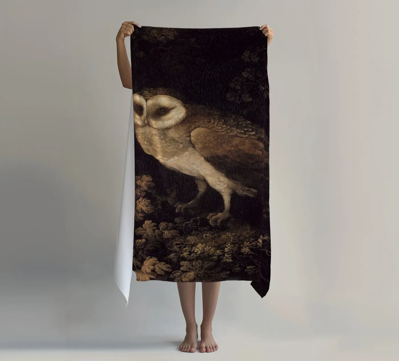 Owl telo mare da Apolo Prints