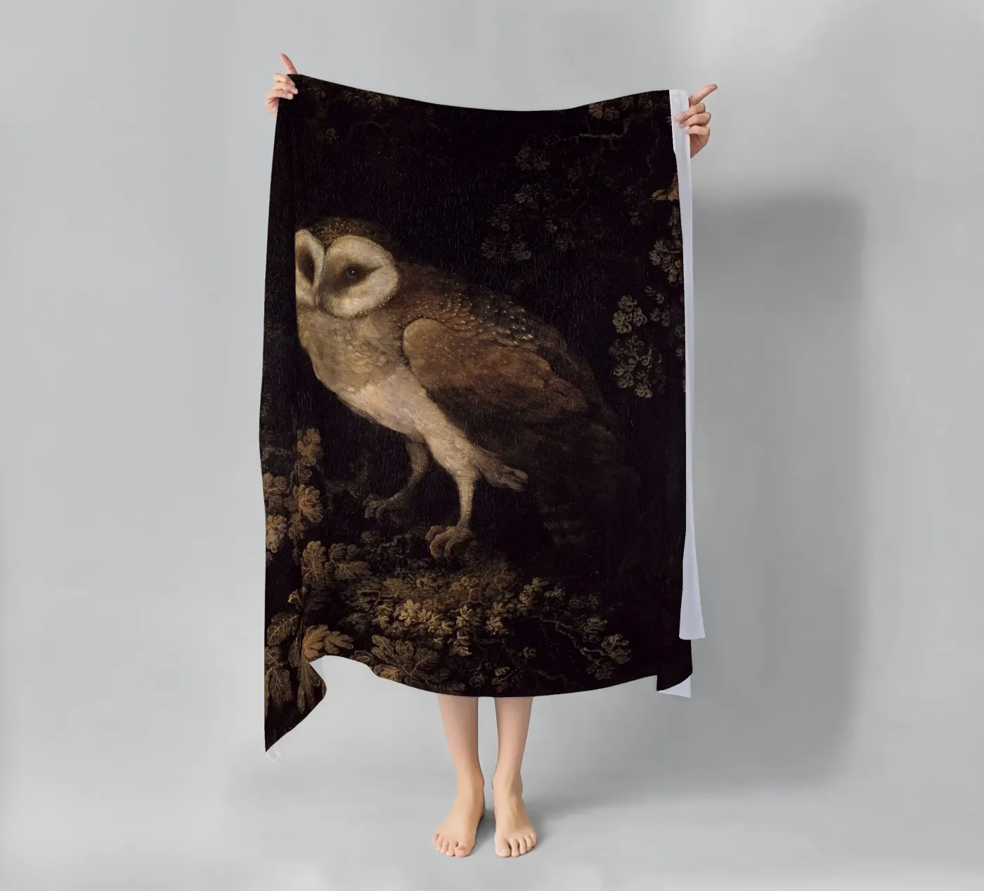 Owl telo mare da Apolo Prints