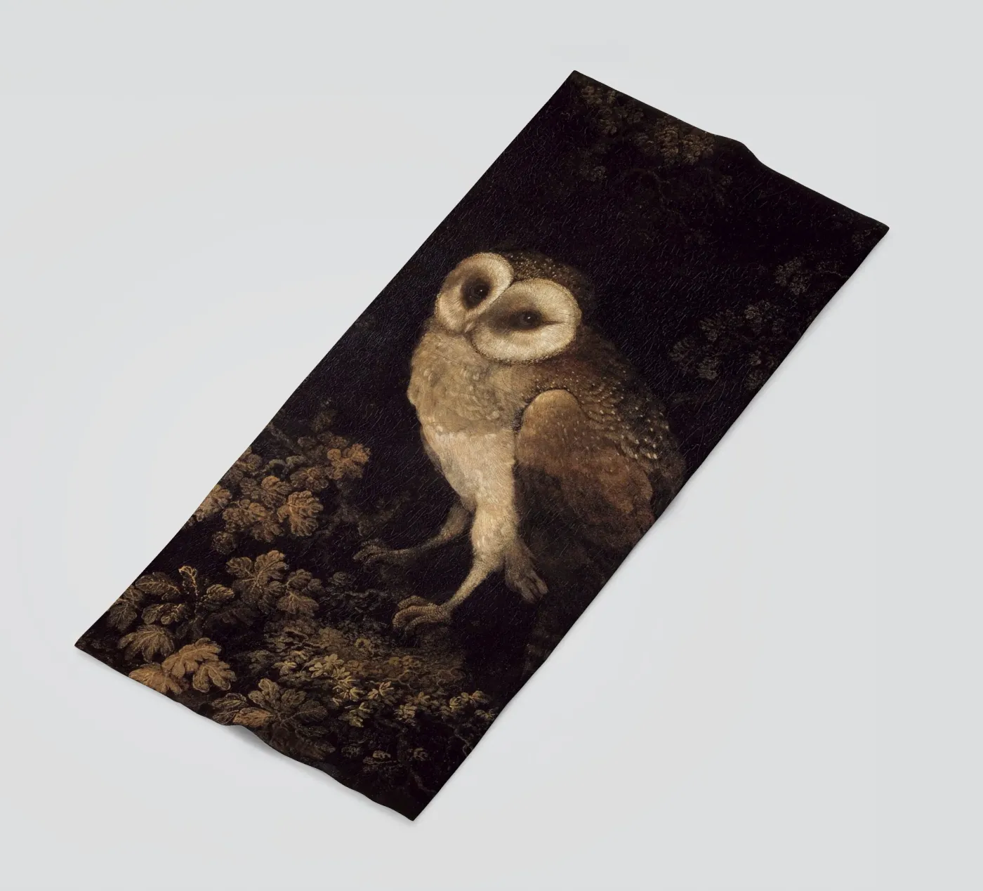 Owl telo mare da Apolo Prints