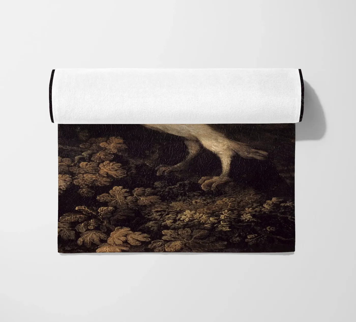 Owl telo mare da Apolo Prints