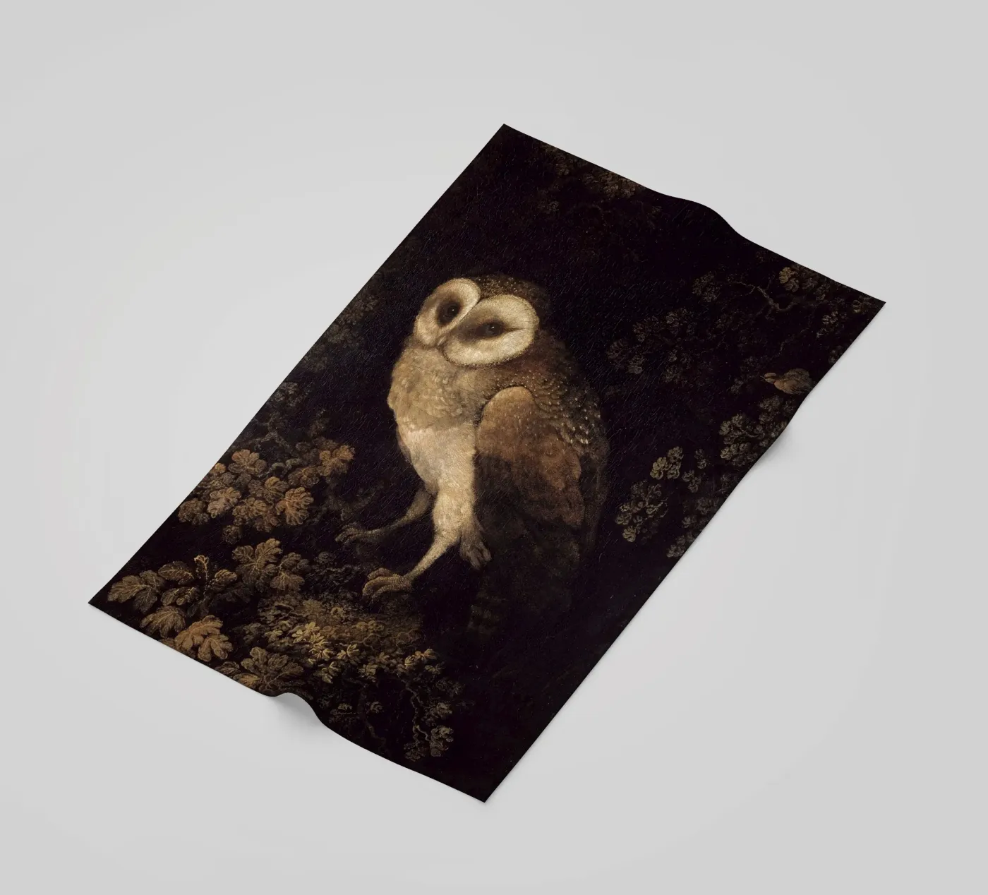 Owl telo mare da Apolo Prints