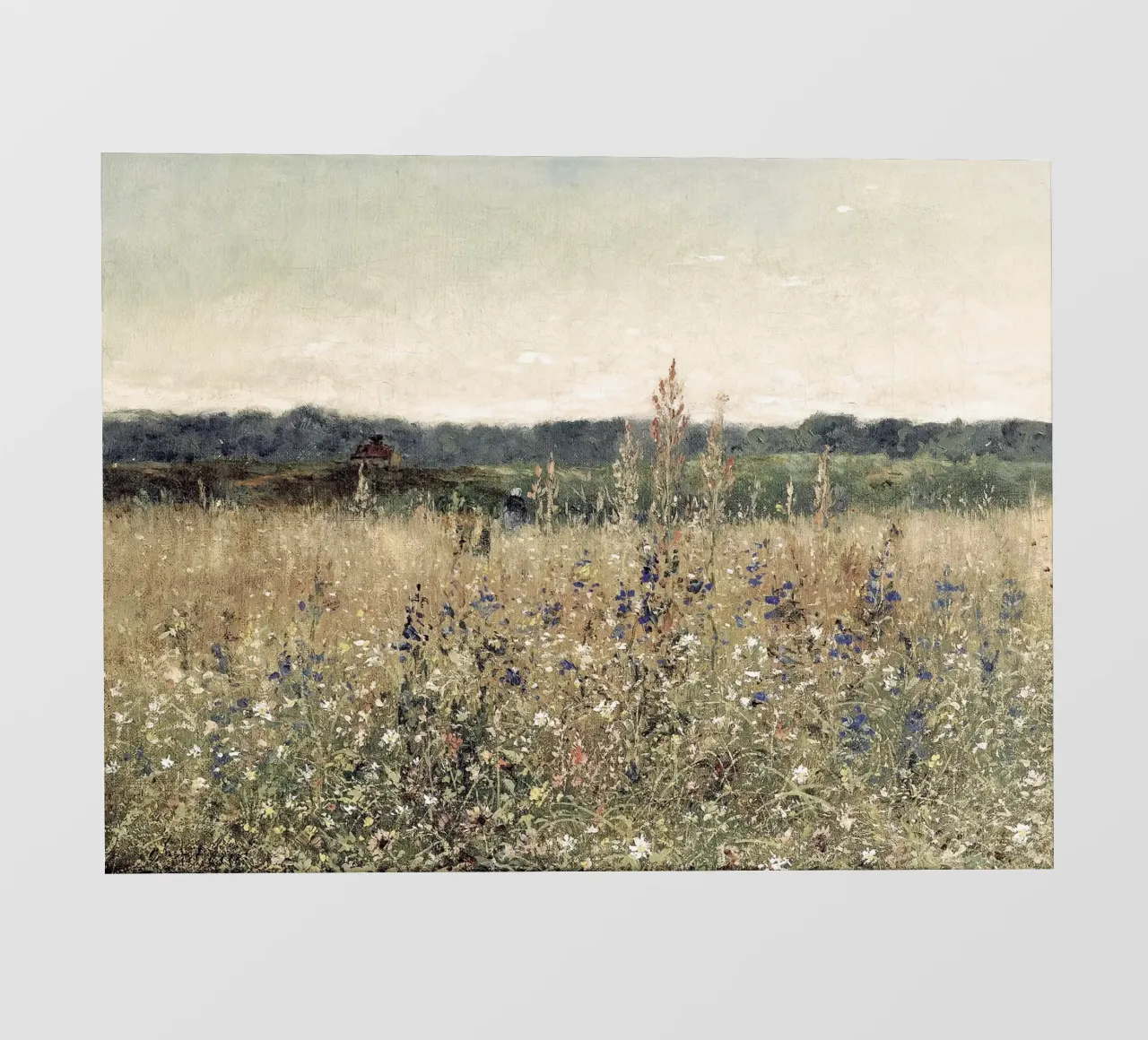 Flower Field Landscape pellicola backlit da apoloprints