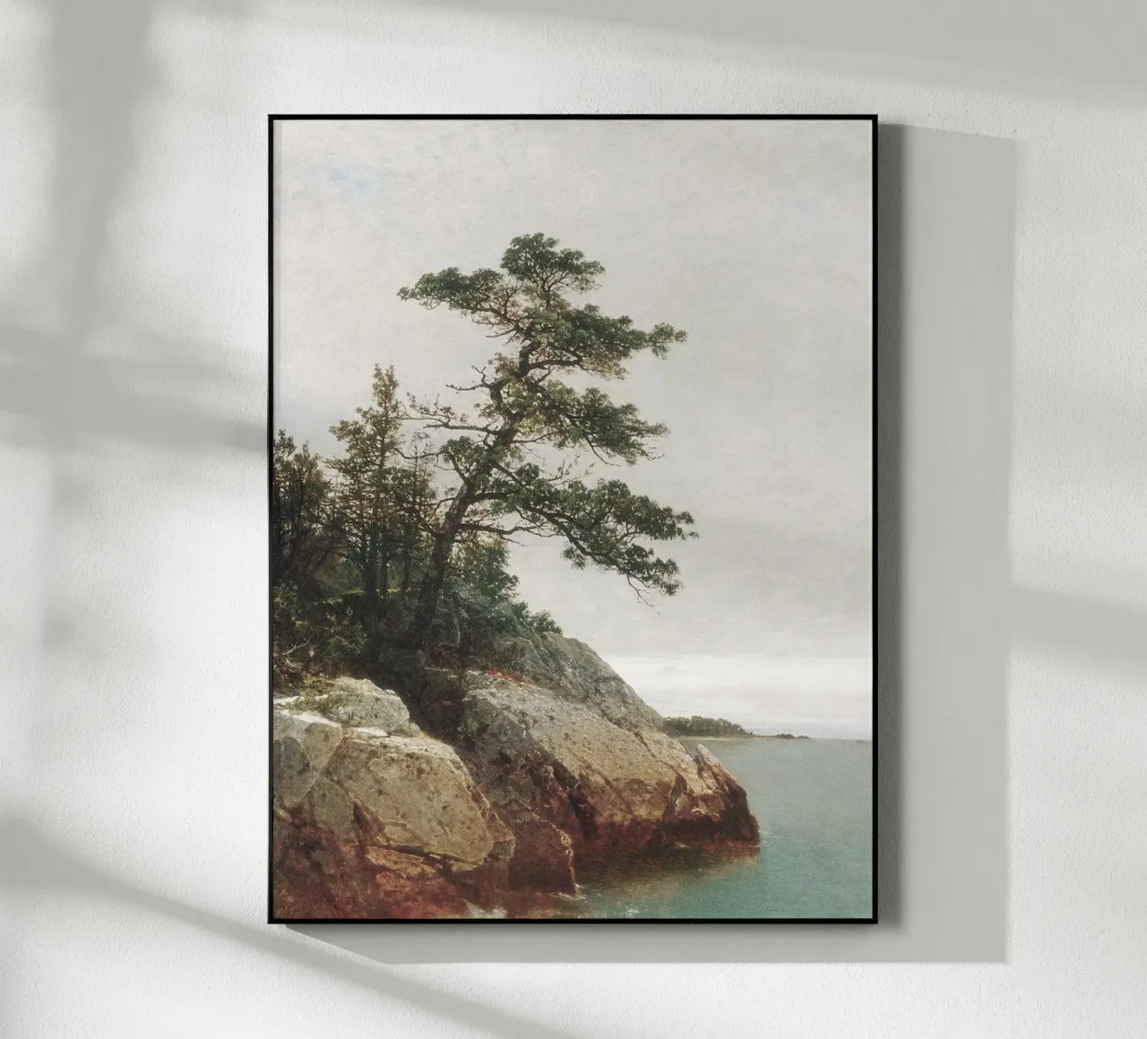 Pine Coast Landscape plexiglass da apoloprints