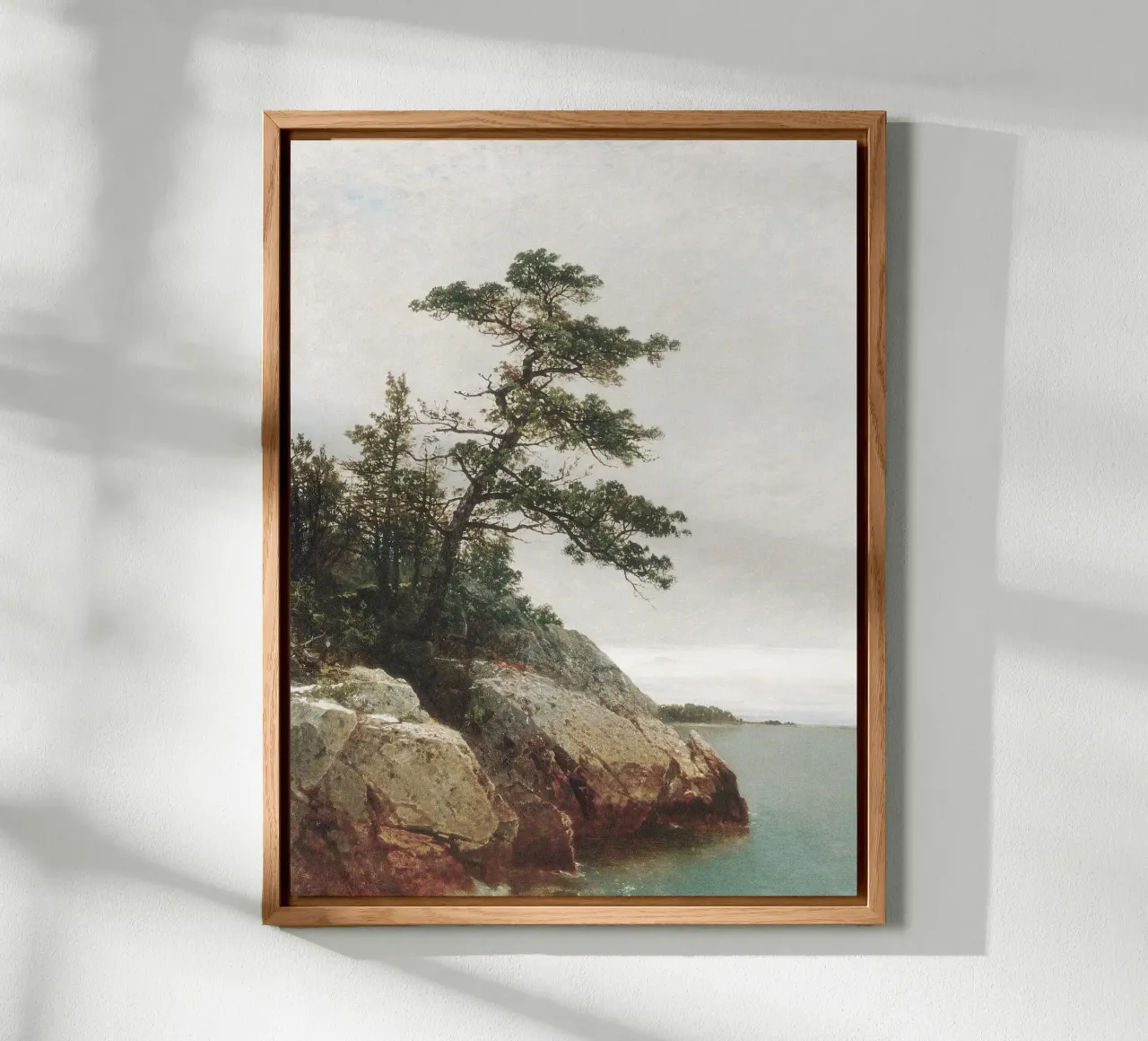 Pine Coast Landscape alluminio dibond da apoloprints
