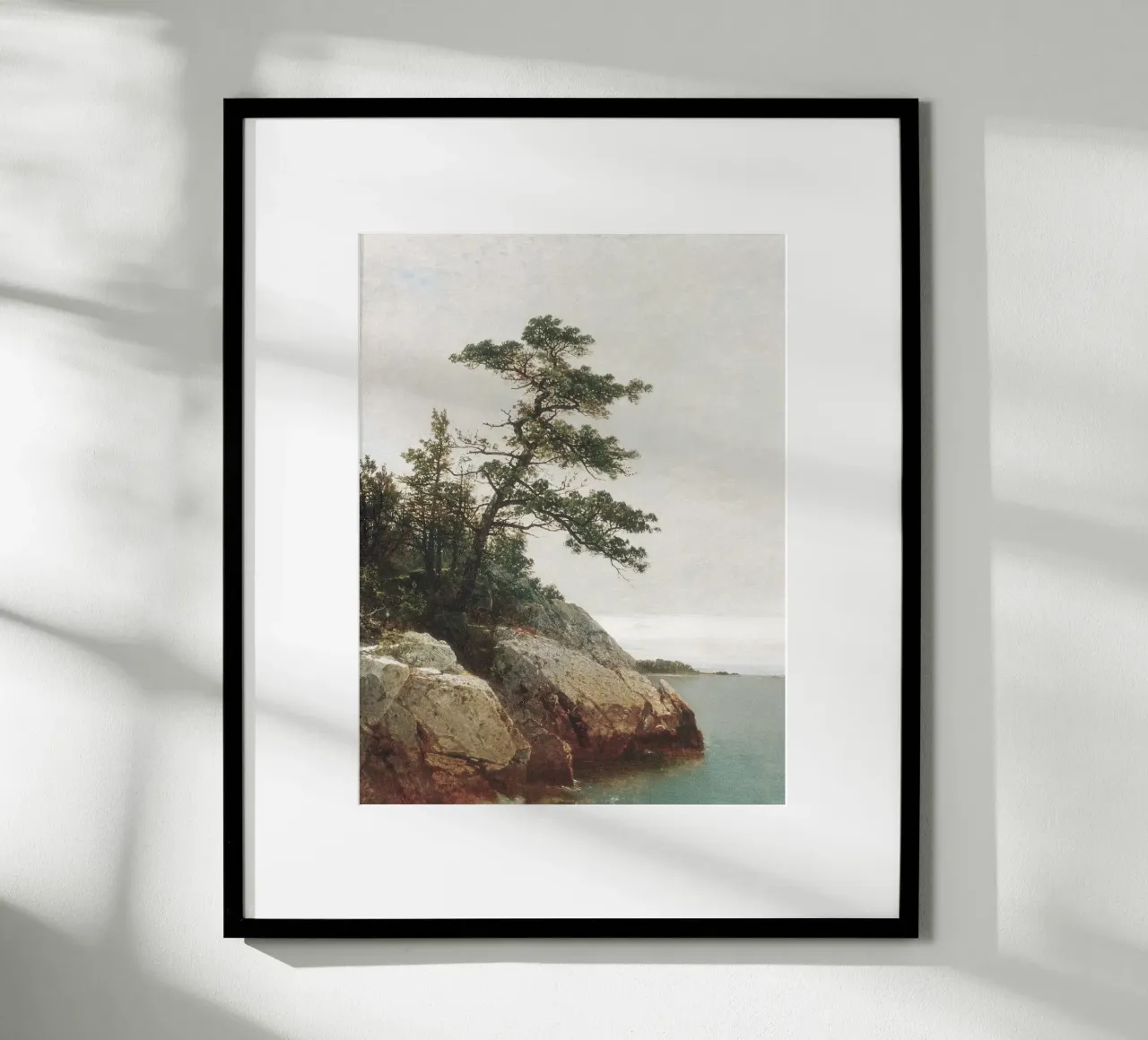 Pine Coast Landscape carta hahnemühle da apoloprints