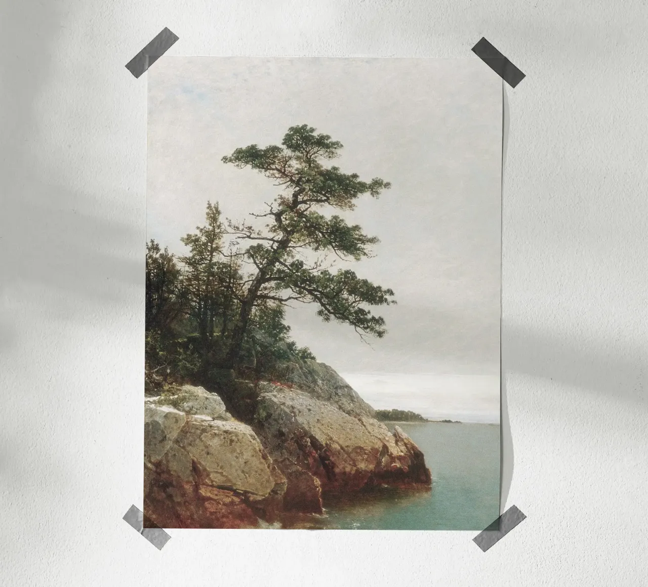 Pine Coast Landscape carta hahnemühle da apoloprints