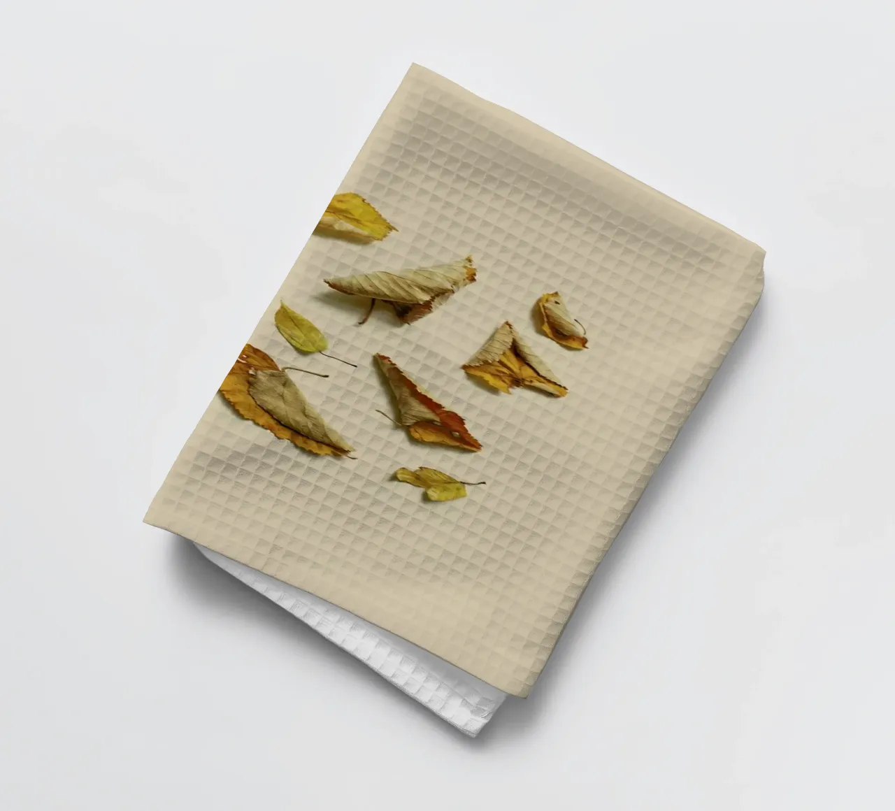 COMPOSIZIONE FOGLIE VI canovaccio da cucina da Elena Veronese
