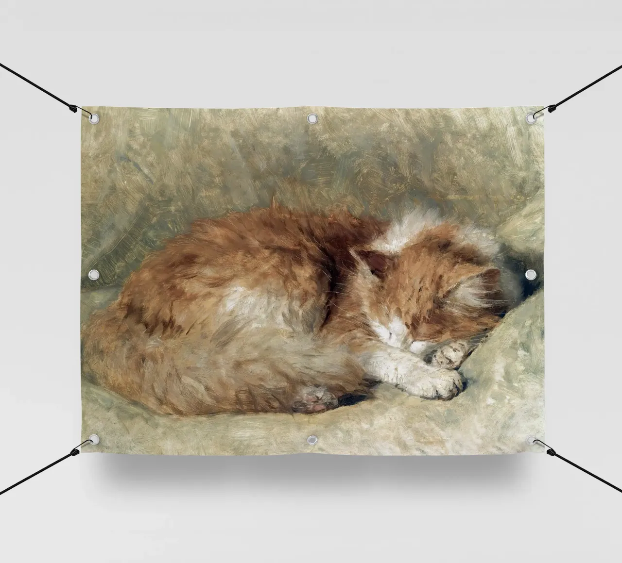 A sleeping cat telo in pvc da apoloprints