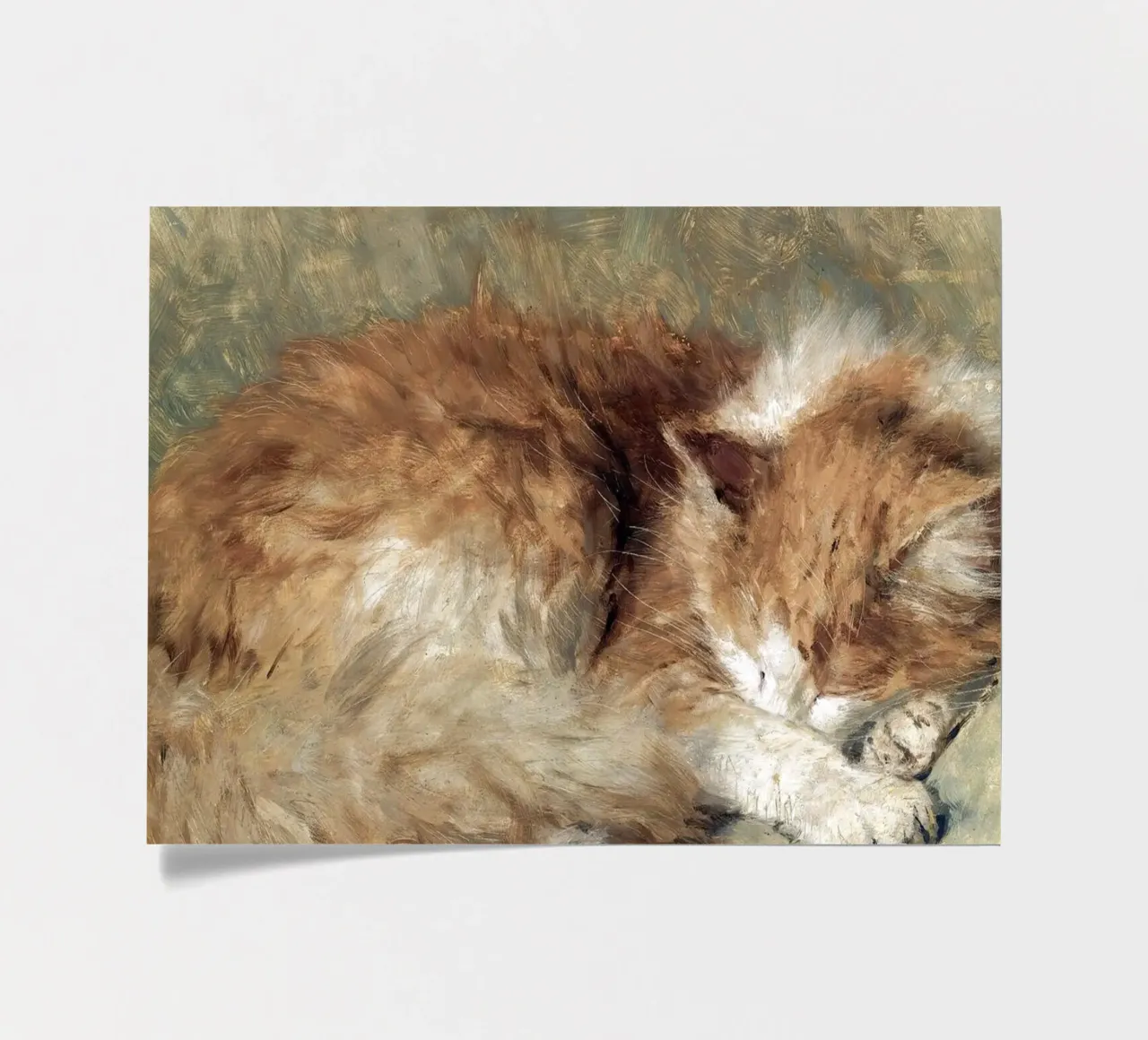 A sleeping cat foglio adesivo da apoloprints