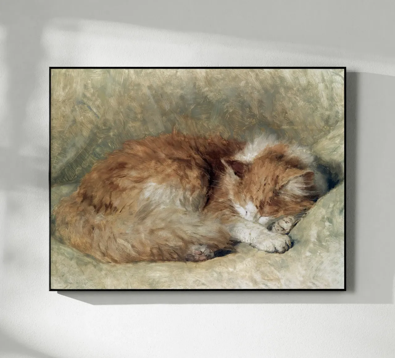 A sleeping cat acrylic glass by apoloprints