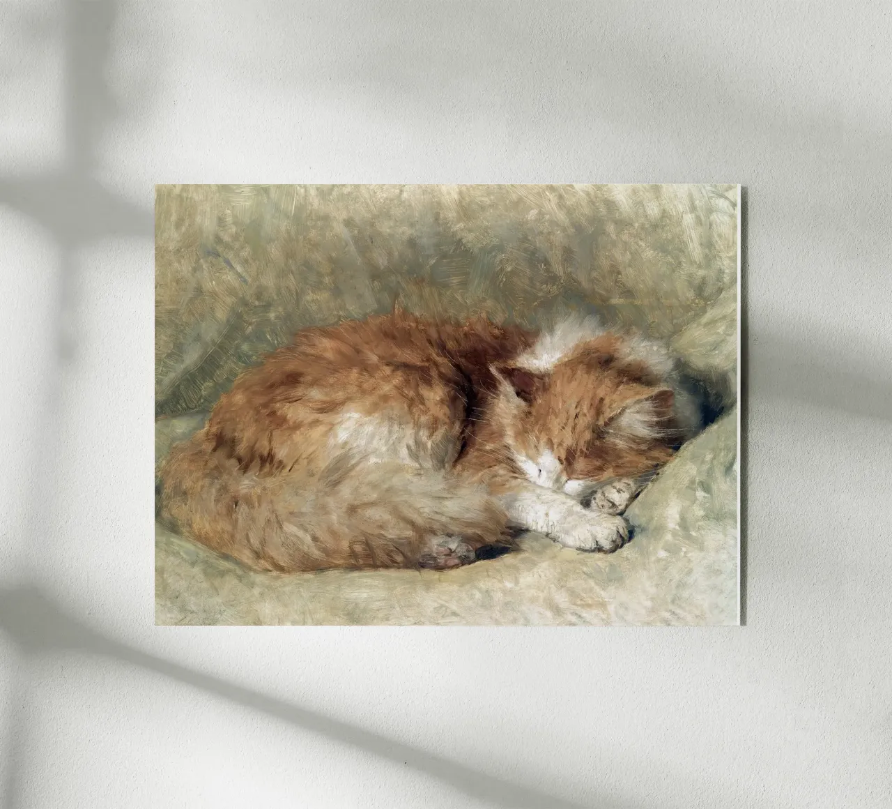 A sleeping cat acrylic glass by apoloprints