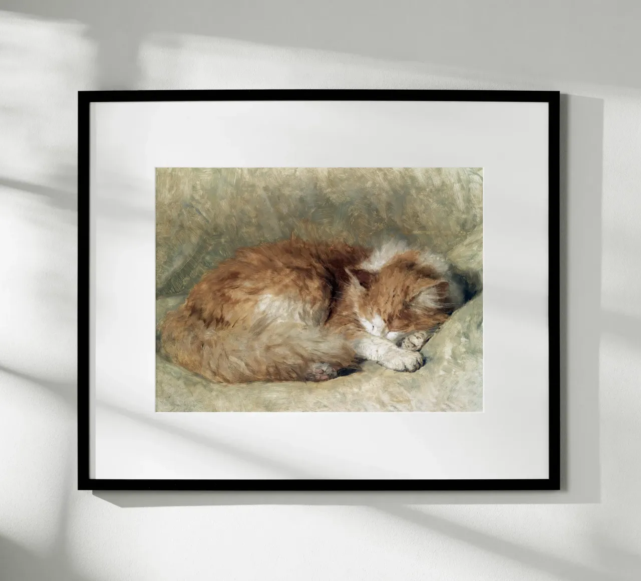 A sleeping cat poster da apoloprints