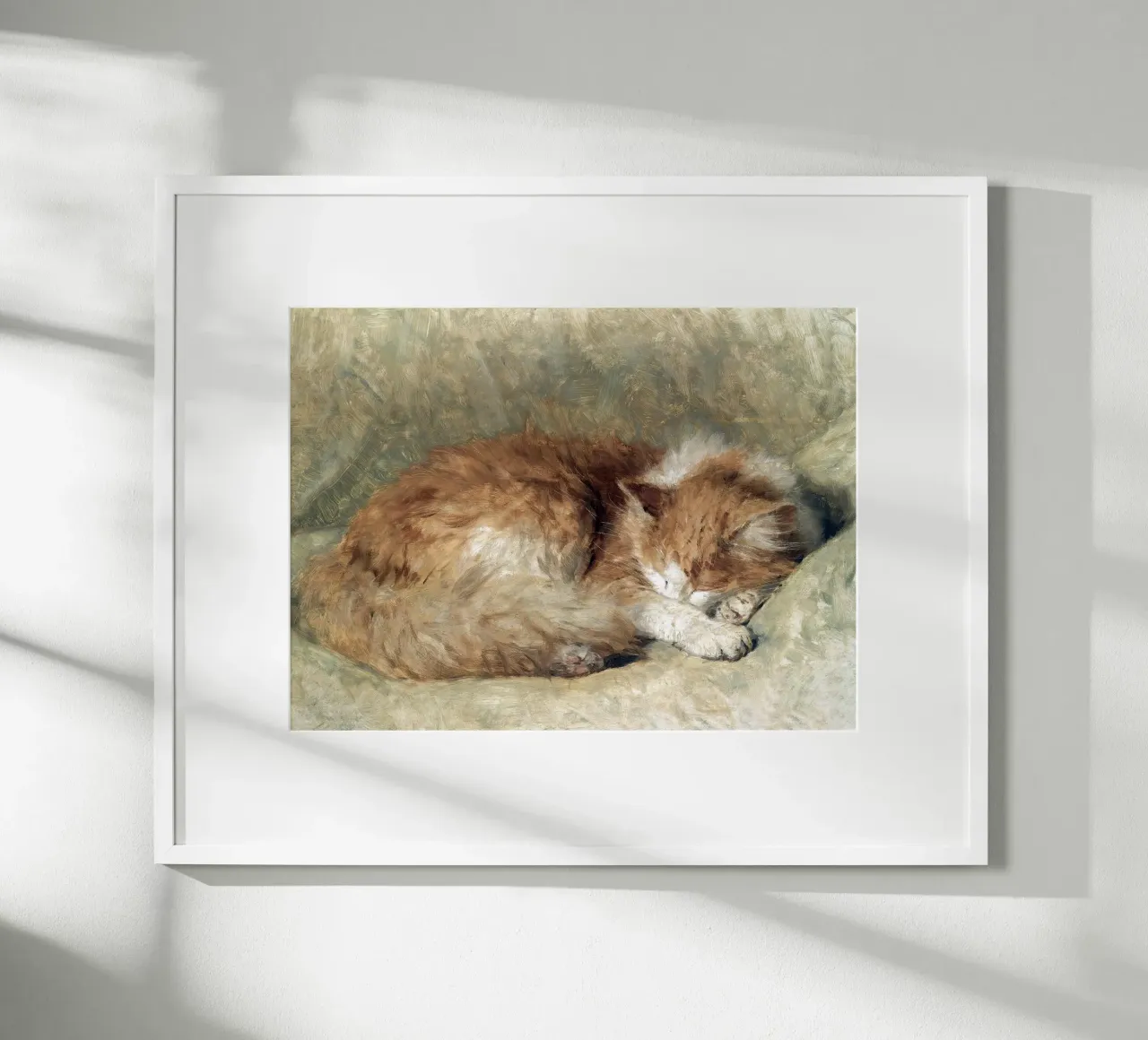 A sleeping cat poster da apoloprints