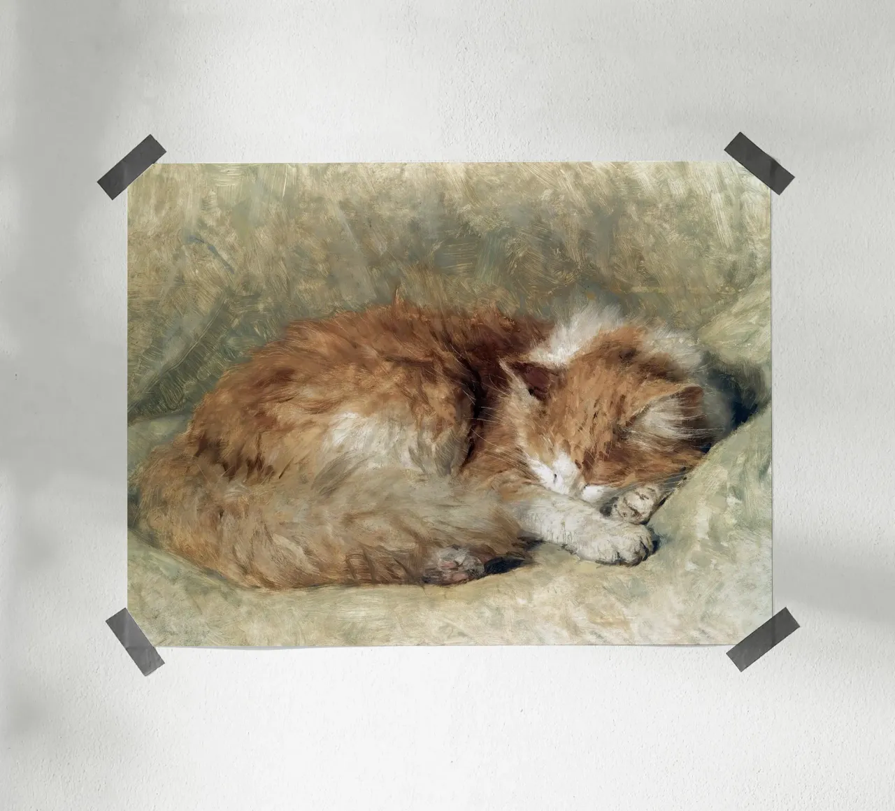 A sleeping cat poster da apoloprints