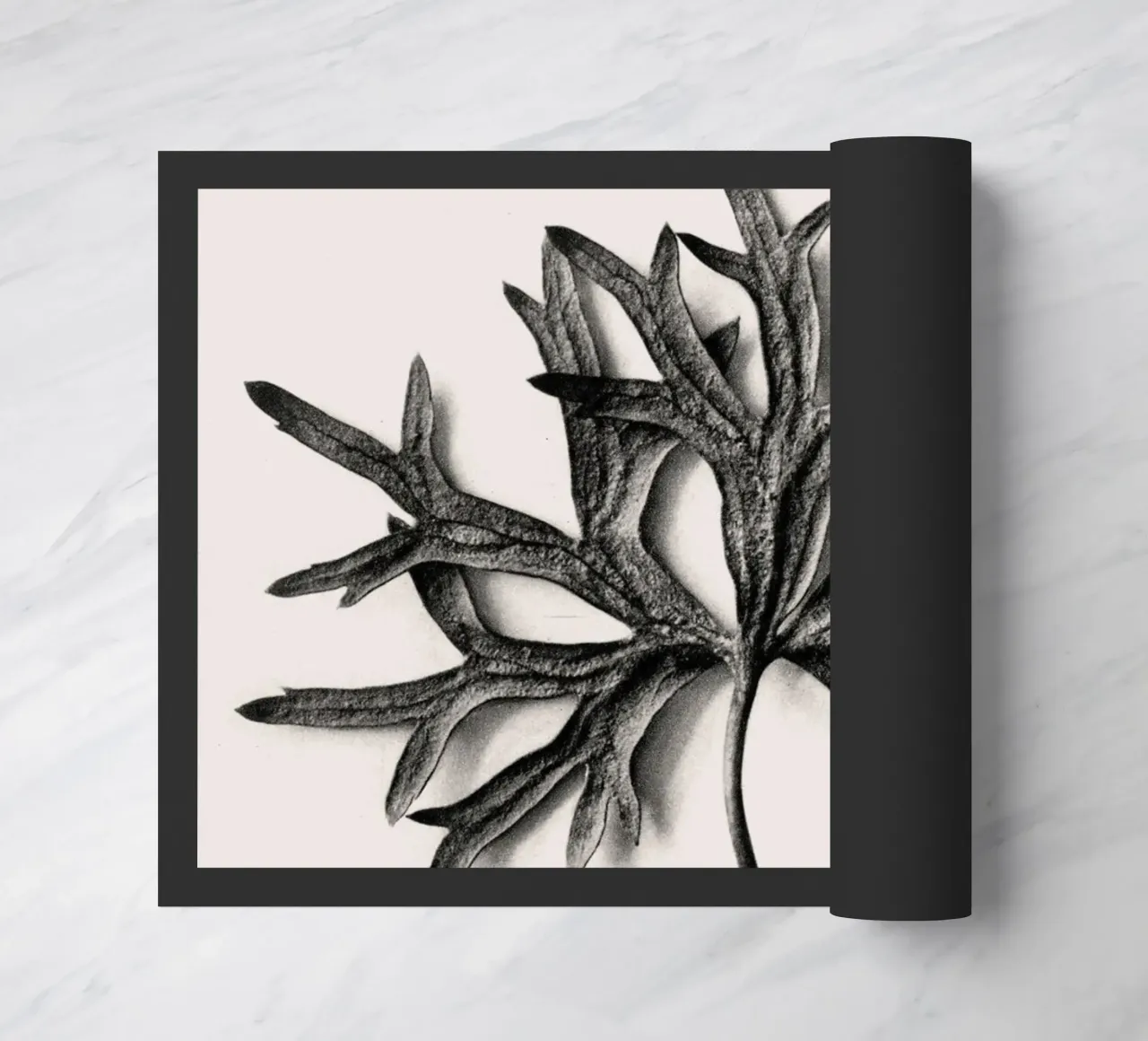 Karl Blossfeldt - Aconitum Anthora zerbino da Old Masters