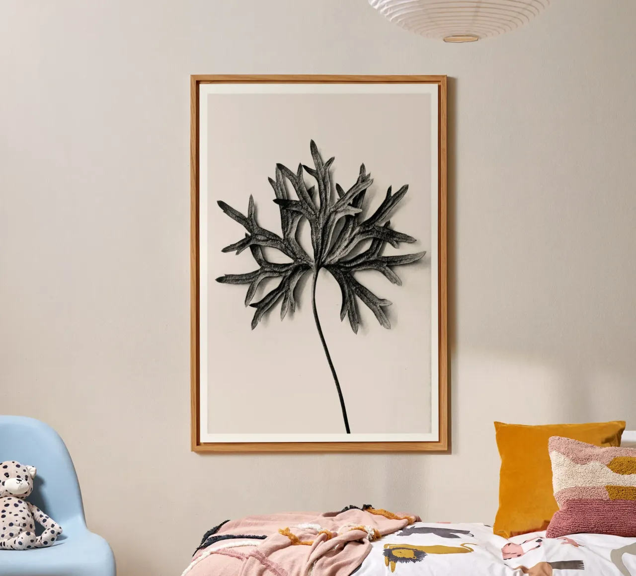 Karl Blossfeldt - Aconitum Anthora alluminio dibond da Old Masters