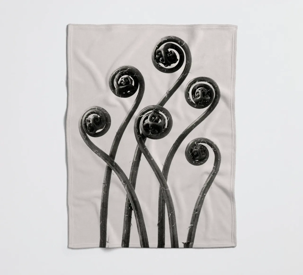 Karl Blossfeldt - Adiantum pedatum 01 coperta in pile da Old Masters