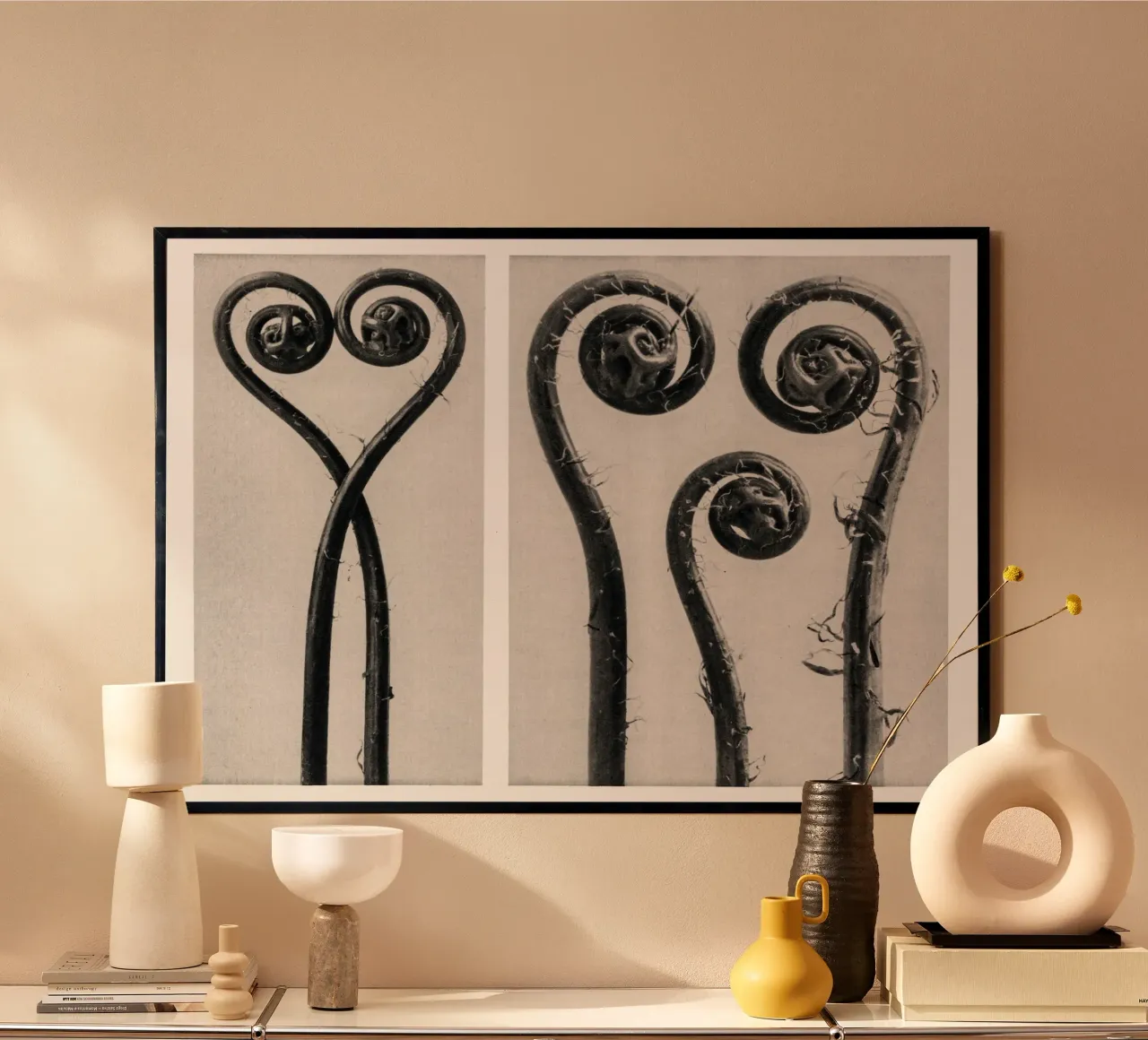 Karl Blossfeldt - Adiantum pedatum 02 poster with plastic frame by Old Masters