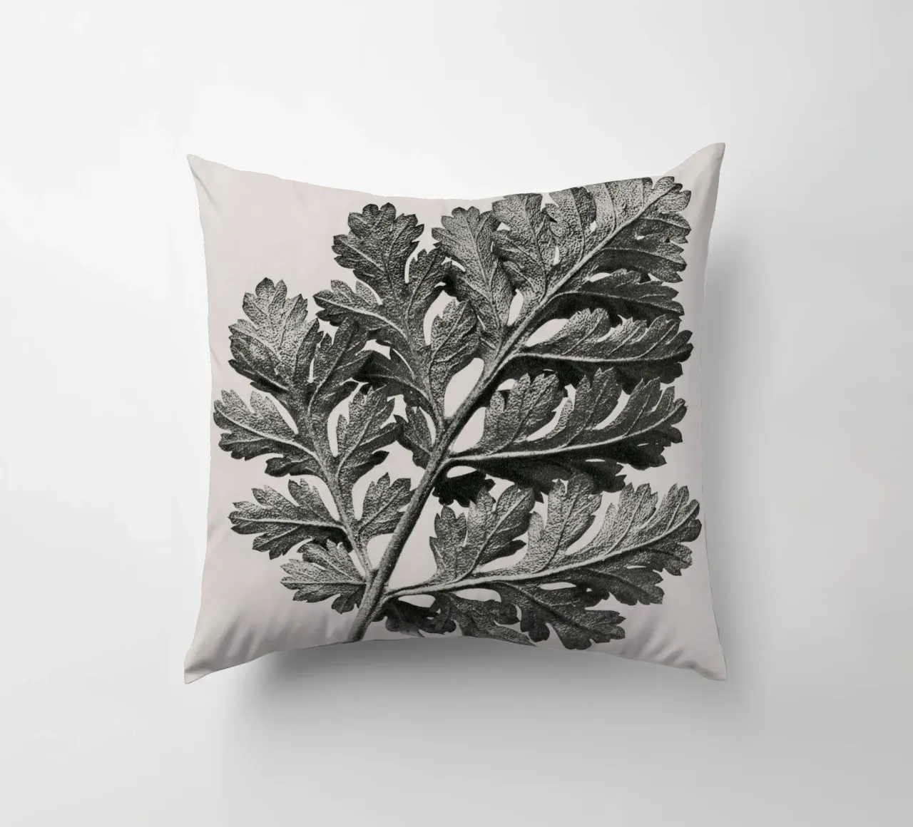 Karl Blossfeldt - Chrysanthemum parthenium cuscino da Old Masters