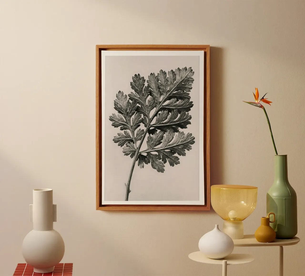 Karl Blossfeldt - Chrysanthemum parthenium tela con Cornice a cassetta da Old Masters