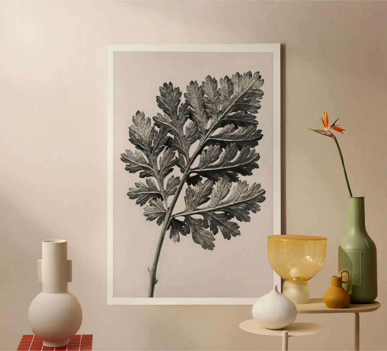 Karl Blossfeldt - Chrysanthemum parthenium tela con Cornice a cassetta da Old Masters