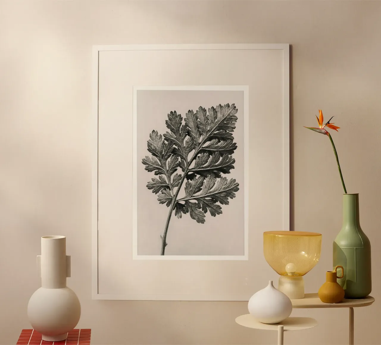 Karl Blossfeldt - Chrysanthemum parthenium carta hahnemühle da Old Masters