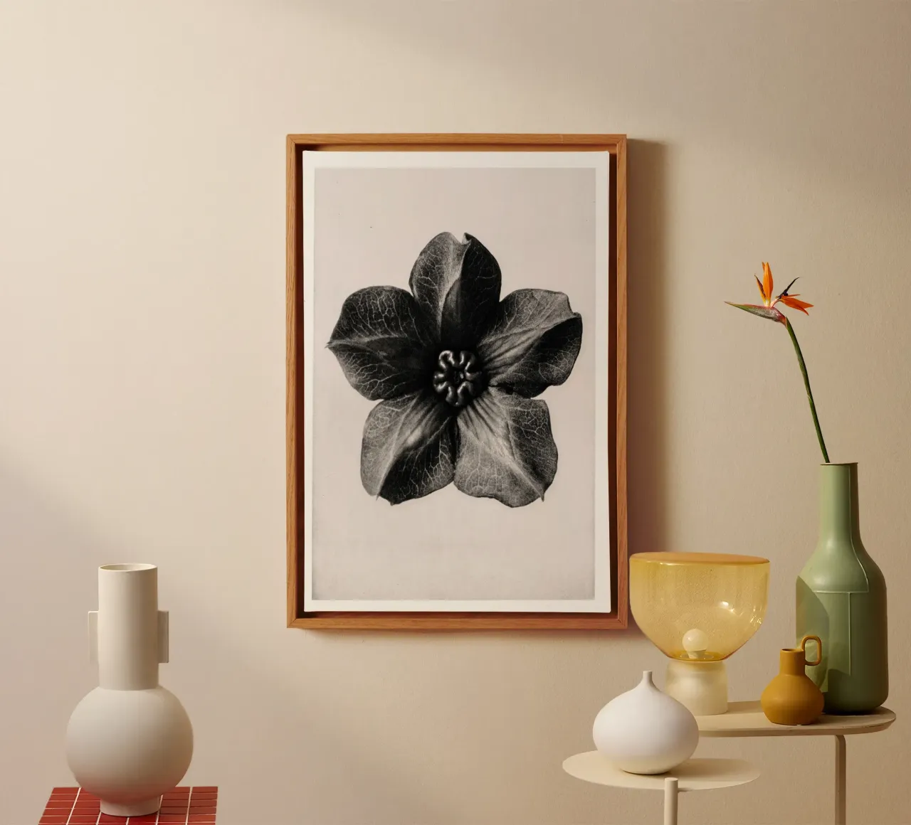 Karl Blossfeldt - Cobea scandens tela con Cornice a cassetta da Old Masters