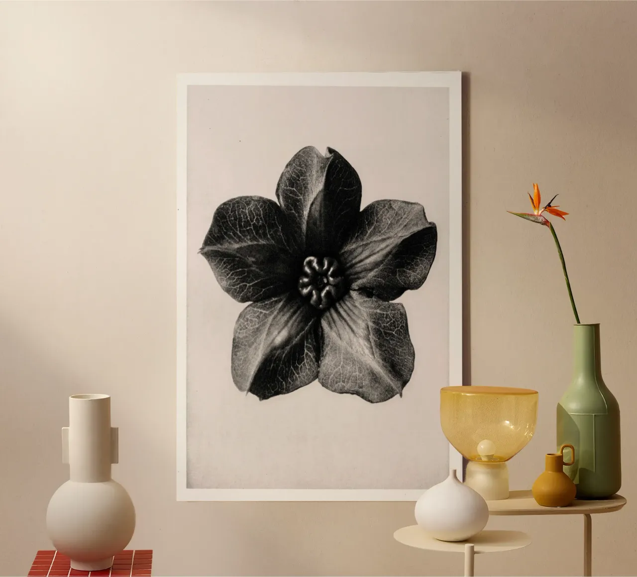 Karl Blossfeldt - Cobea scandens tela con Cornice a cassetta da Old Masters